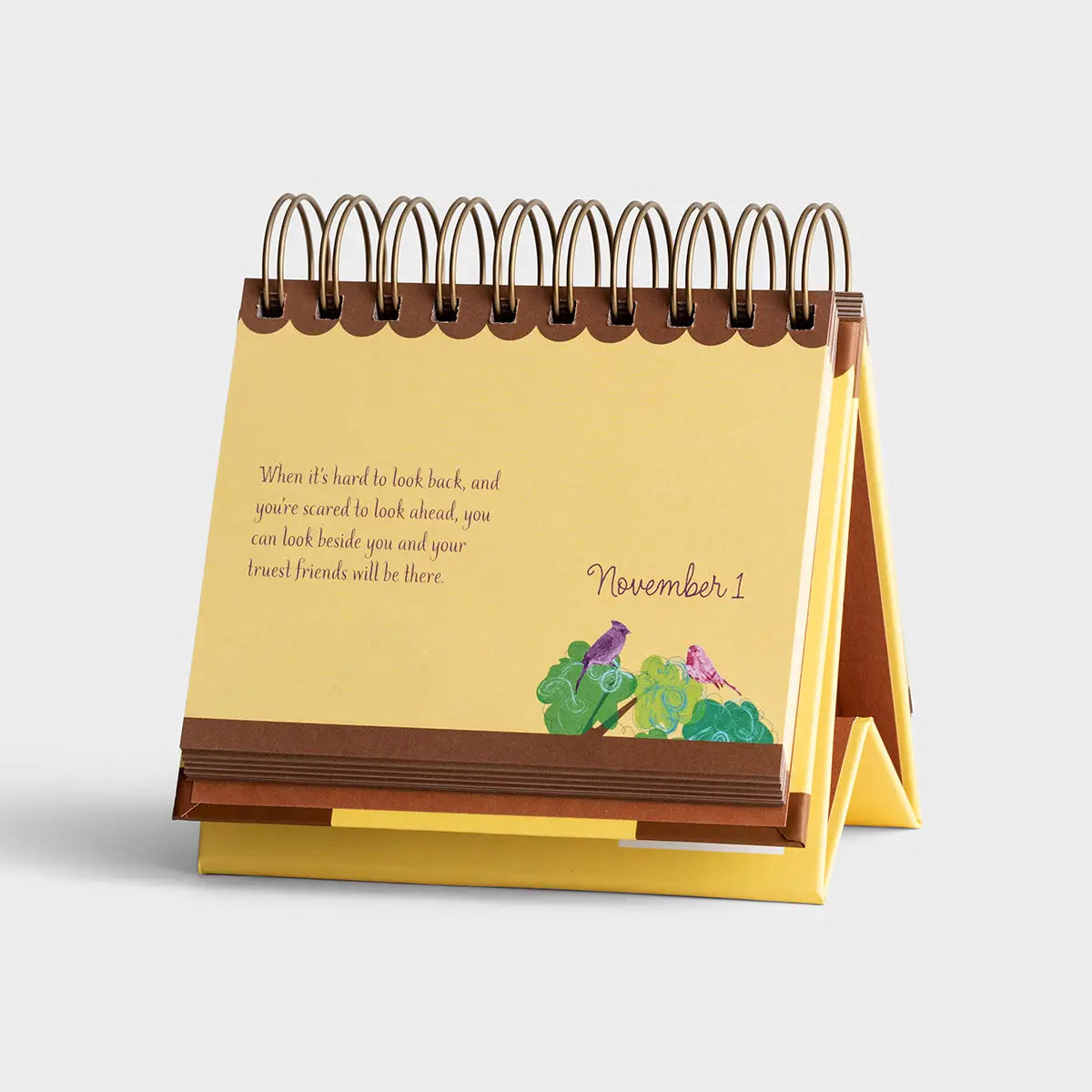 CR GIBSON Calander Fitlosophy Fitdesk Calendrier Perpétuel 365 Jours Pour Une Inspiration Quotidienne Du Fitness, Varié, 13,3 X 16,5 X 3,2 Cm - View #2