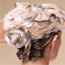 Load image into Gallery viewer, Repairing Argan Oil Shampoo