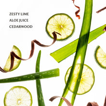 Load image into Gallery viewer, Touchland Power Mist - Aloe You