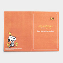 Load image into Gallery viewer, Peanut's - 12 All Occasion Boxed Cards and Envelopes