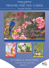 Load image into Gallery viewer, Christian Greetings Boxed Cards - Praying for You - Prayerful Melodies