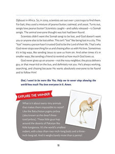 The Wonder of Creation Children's Devotional Book