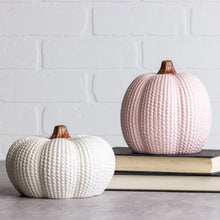 Load image into Gallery viewer, Pastel Knit Pumpkin Decor
