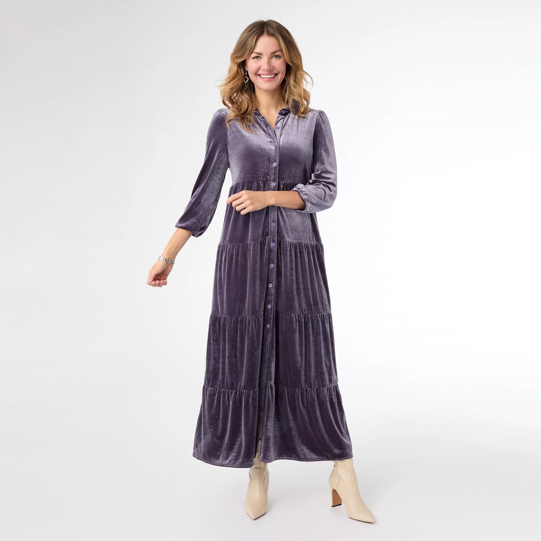 Romance Imagined Velour Dress - Mulberry