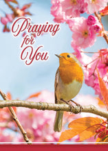 Load image into Gallery viewer, Christian Greetings Boxed Cards - Praying for You - Prayerful Melodies