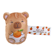 Load image into Gallery viewer, Bubble Stuffed Squishy Friends - Emotional Support Collection