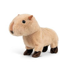 Load image into Gallery viewer, Animigos Curious Capybara