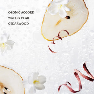 Touchland Power Mist - Rainwater