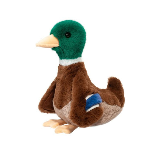 Desie Mallard Duck