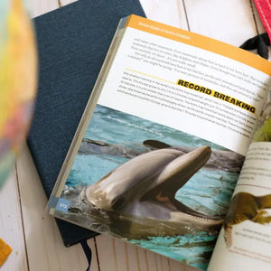 The Complete Guide to the Bible for Kids – Specialty Design Company