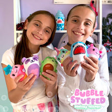 Load image into Gallery viewer, Bubble Stuffed Squishy Friends