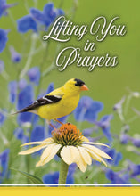 Load image into Gallery viewer, Christian Greetings Boxed Cards - Praying for You - Prayerful Melodies