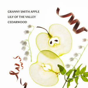 Touchland Power Mist - Applelicious