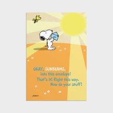 Load image into Gallery viewer, Peanut's - 12 Get Well Boxed Cards and Envelopes