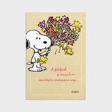 Load image into Gallery viewer, Peanut's - 12 Get Well Boxed Cards and Envelopes