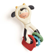 Load image into Gallery viewer, Itzy Spinner™ Sensory Toy