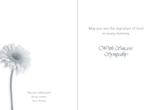 Load image into Gallery viewer, Christian Greetings Boxed Cards - Sympathy - Journey of the Heart
