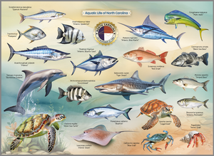Aquatic Life of North Carolina Jigsaw Puzzle