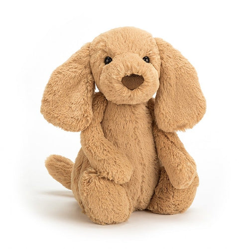 Jellycat Bashful Toffee Puppy 12