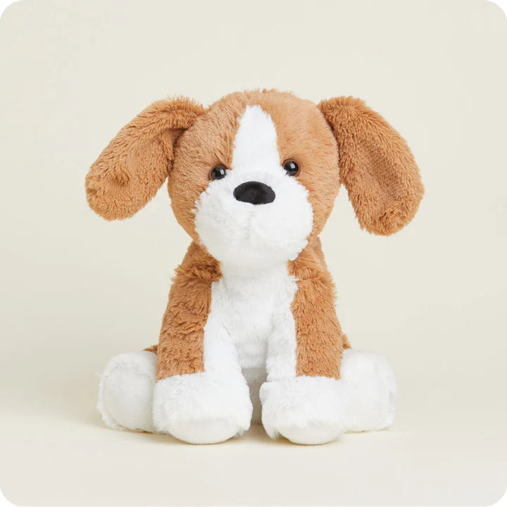 Beagle Warmie 13