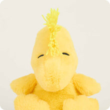 Load image into Gallery viewer, Woodstock Warmie 9&quot;