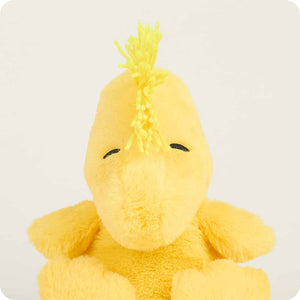 Woodstock Warmie 9"