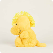 Load image into Gallery viewer, Woodstock Warmie 9&quot;