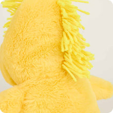 Load image into Gallery viewer, Woodstock Warmie 9&quot;