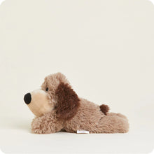 Load image into Gallery viewer, Brown Dog Warmie Junior 9&quot;