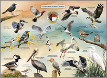 Load image into Gallery viewer, Coastal Birds of North Carolina Jigsaw Puzzle