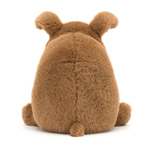 Load image into Gallery viewer, Jellycat Derreck Dog 9&quot;