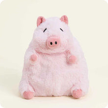 Load image into Gallery viewer, Warmies Prosperity Pig