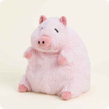 Load image into Gallery viewer, Warmies Prosperity Pig