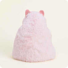 Load image into Gallery viewer, Warmies Prosperity Pig
