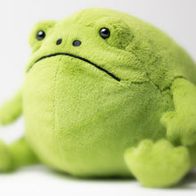 Load image into Gallery viewer, Jellycat Ricky Rain Frog 6&quot;
