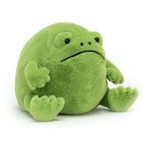 Load image into Gallery viewer, Jellycat Ricky Rain Frog 6&quot;