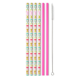 Swig Reusable Straw Set - Cookie Jar + Pink