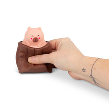 Load image into Gallery viewer, Pop-Up Squeezy Capybara