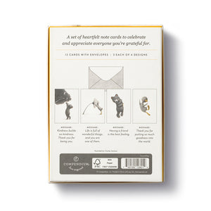 Boxed Note Card Set - So Much Gratitude