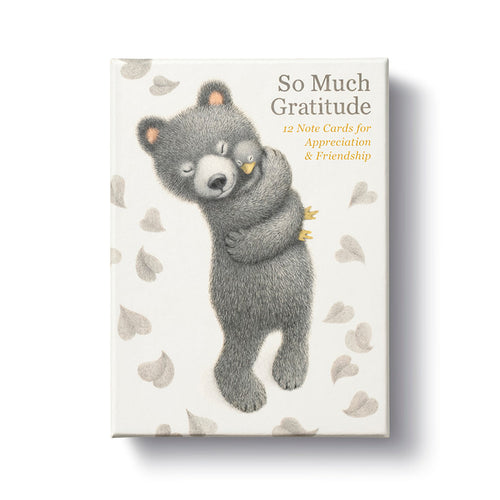 Boxed Note Card Set - So Much Gratitude