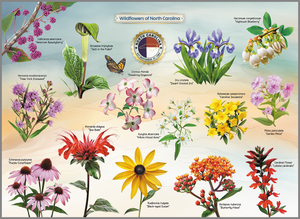 Wildflowers of North Carolina Jigsaw Puzzle