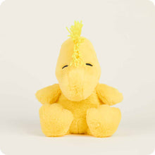 Load image into Gallery viewer, Woodstock Warmie 9&quot;