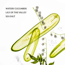 Load image into Gallery viewer, Touchland Gentle Mist - Lily of the Valley