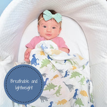 Load image into Gallery viewer, Rawr-Some Dino Muslin Swaddle Blanket