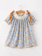 Girl's Fall Smocked Ribbon Dress