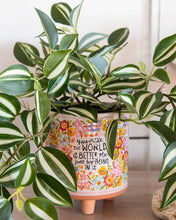 Load image into Gallery viewer, Natural Life Medium Artisan Terracotta Indoor Planter - World Better