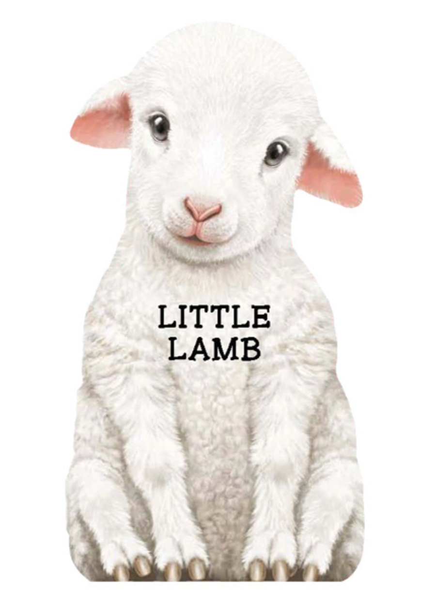 Little Lamb Children's Book