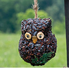 Load image into Gallery viewer, Mr. Bird Ollie The Owl Singles