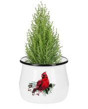 Load image into Gallery viewer, Ganz Cardinal Garden Planters *3 Sizes*