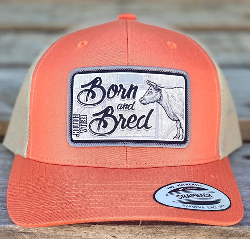 Born and Bred Cow Hat by Bella Cotton - Orange